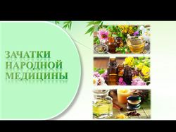 Оформляю презентации в PowerPoint