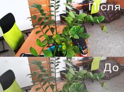 Улучшение цвета