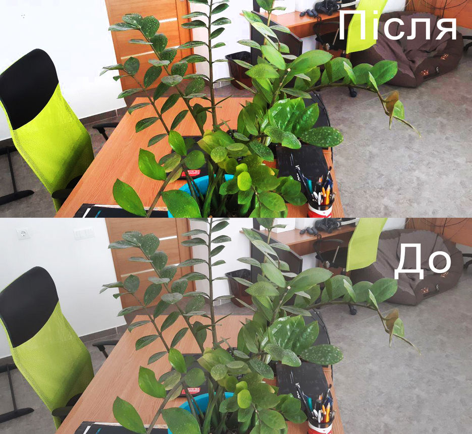 work-4.jpg