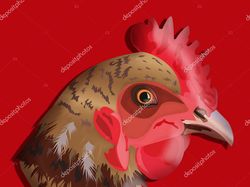 Rooster (иллюстрация для упаковки)
