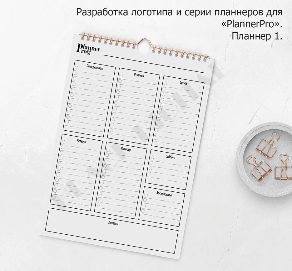 Планнер 1.jpg