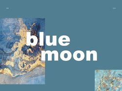 Оформление интернет-магазина "Blue Moon"