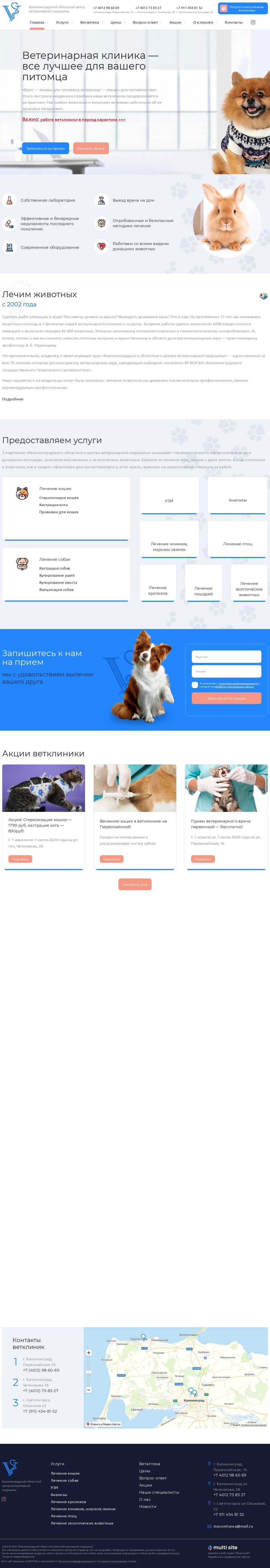 vetmed39.ru.jpg