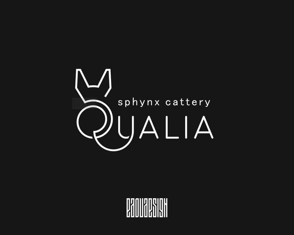 qualie - edoudesign - logo -.png