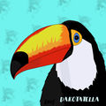 dakottella