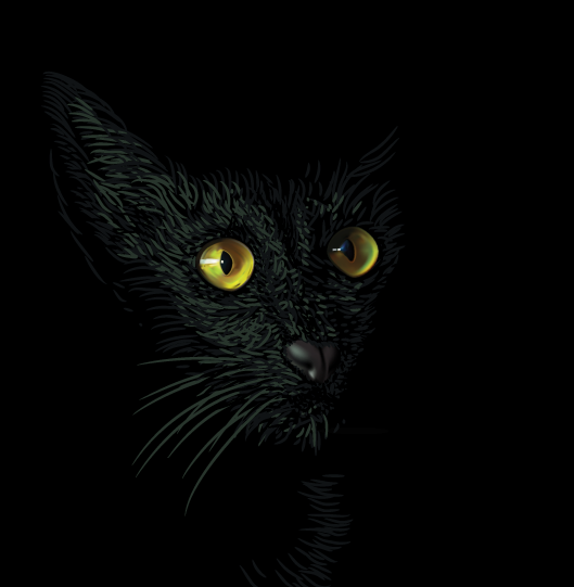 Кошка.png