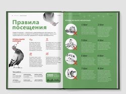 Печатный разворт в журнале