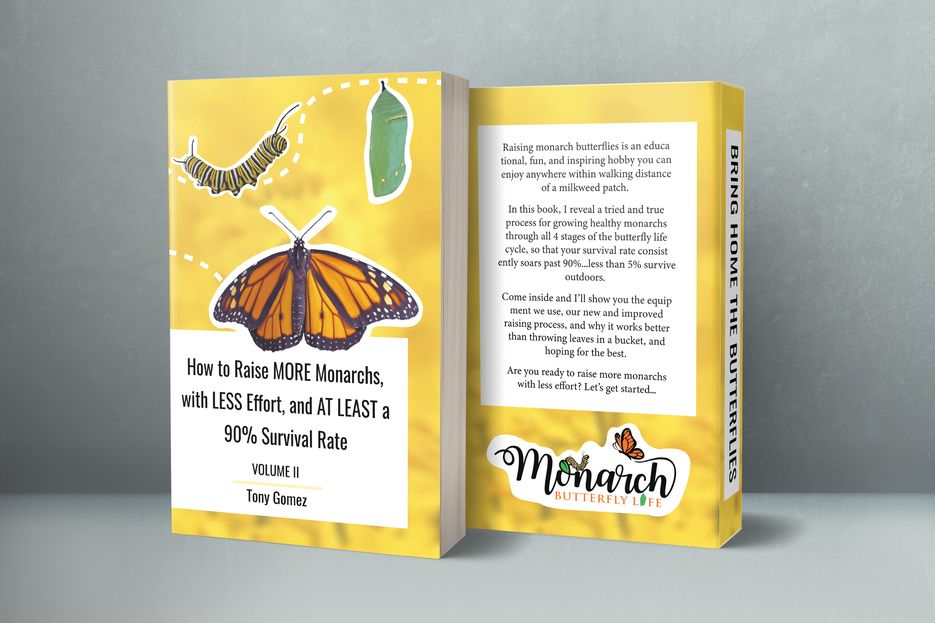 013-5x8-Front-Back-Paperback-Mockup-COVERVAULT-min 2.png