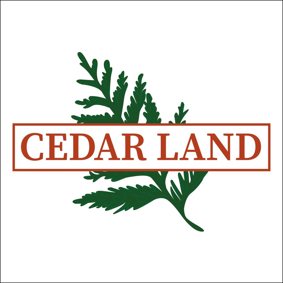 cedar-02 (1).png