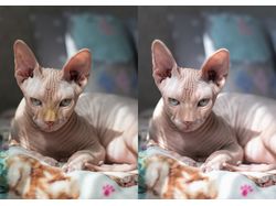 Обработка фотографий
