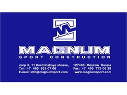 Корпоративная визитка Magnum
