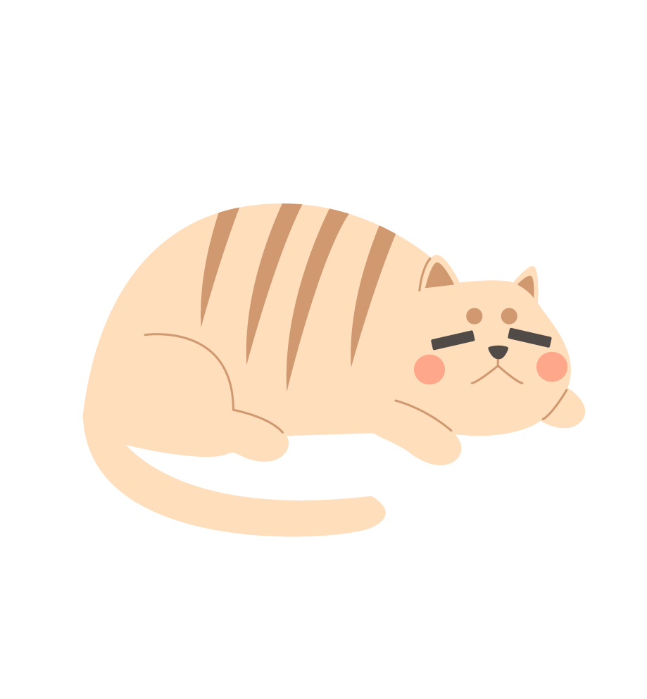 cartoon flat cat.jpg