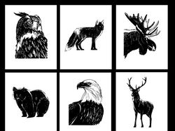 Серия иллюстраций животных