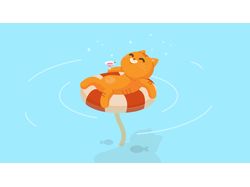 Котик в бассейне