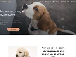 Лендинг page