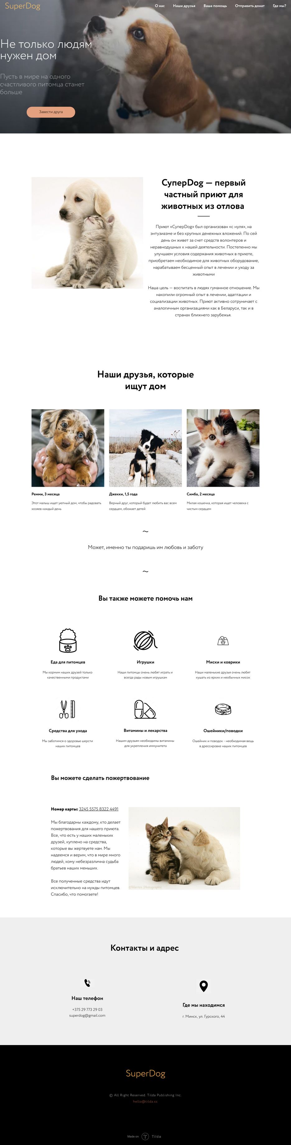 FireShot Capture 007 - Blank page - superdog.by.tilda.ws.png