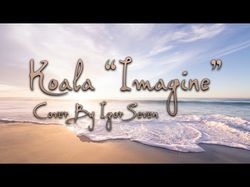Koala - Imagine (Cover by Igor Seven)