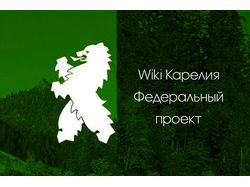 WIki Карелия - продвижение сообщества в VK и IG