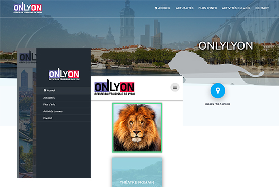 lyoncity site.jpg