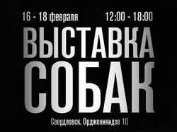 Плакат А3 для выставки собак