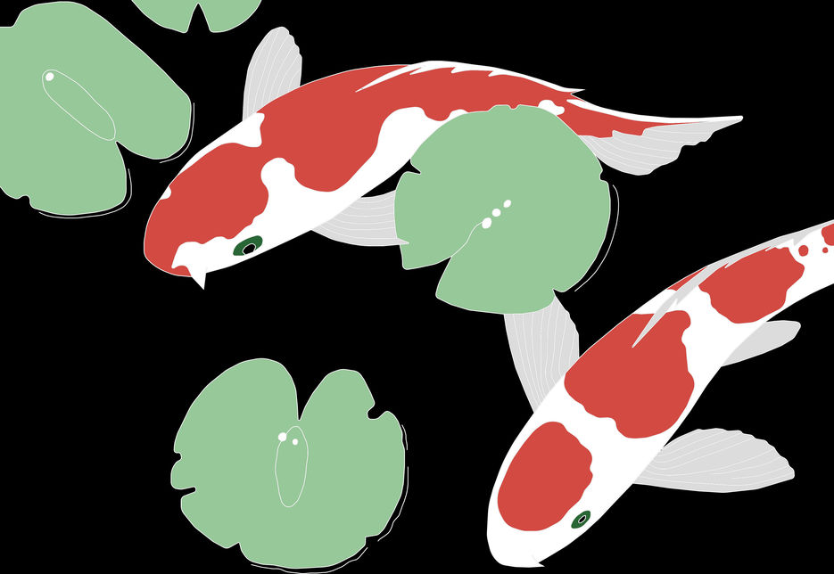 кои(на черном фоне).jpg