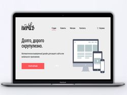 NERD'S СТУДИЯ УСЛУГ (интернет магазин)