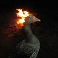 Goose_Gang