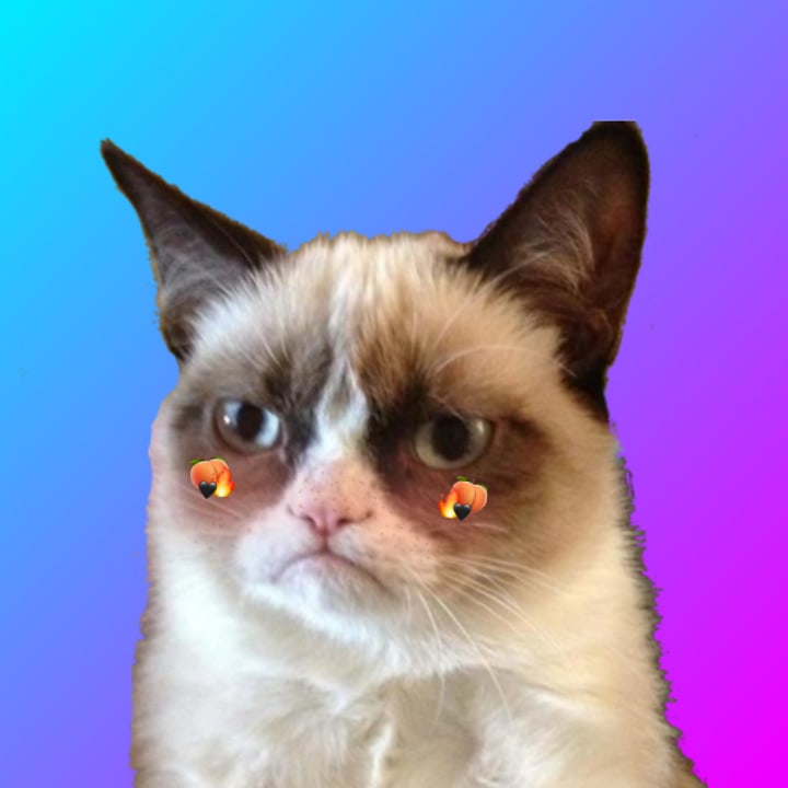 1R-hW3T6KUM.jpg