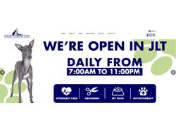 Продвижение сайта Ветеринарной клиники в ОАЭ