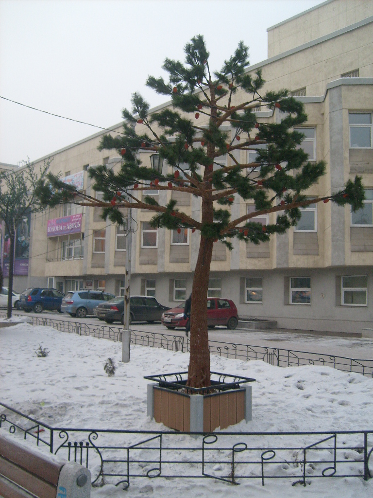 S6301947.JPG