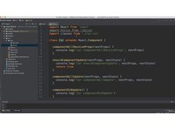 ReactJS
