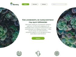 Страница сайта для магазина суккулентов.