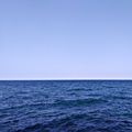 Ireneblue