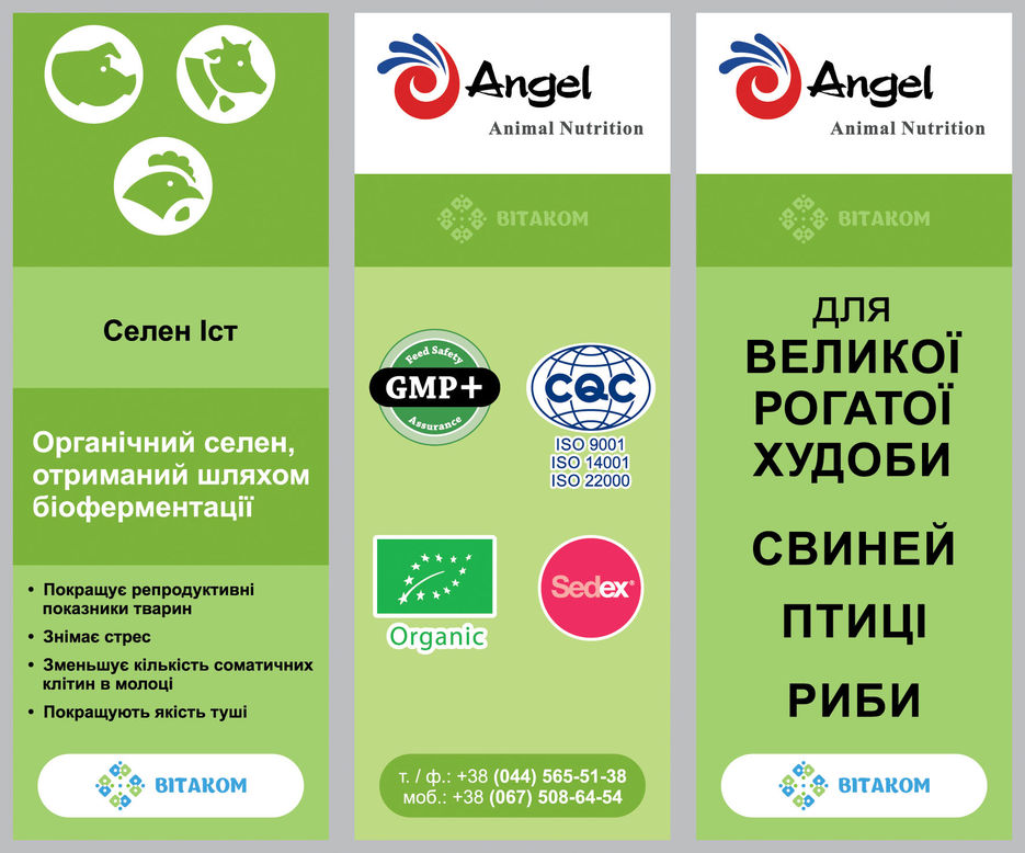 (06) Стенд Angel 02 правый.jpg
