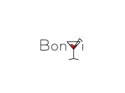Логотип компании Bonvi