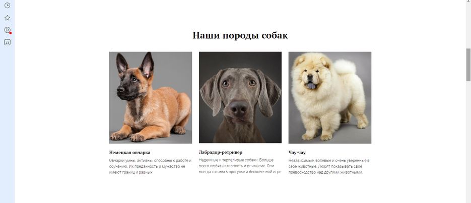 Снимок экрана (82).png