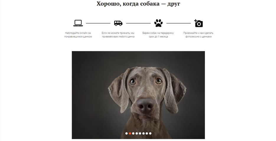 Снимок экрана (80).png