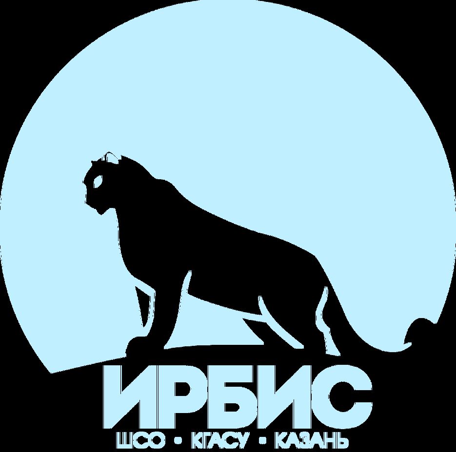 Ирбис (2).png