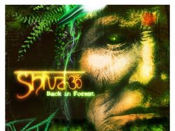Shiva3 CD Cover