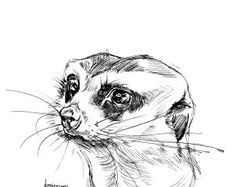 Рисунок