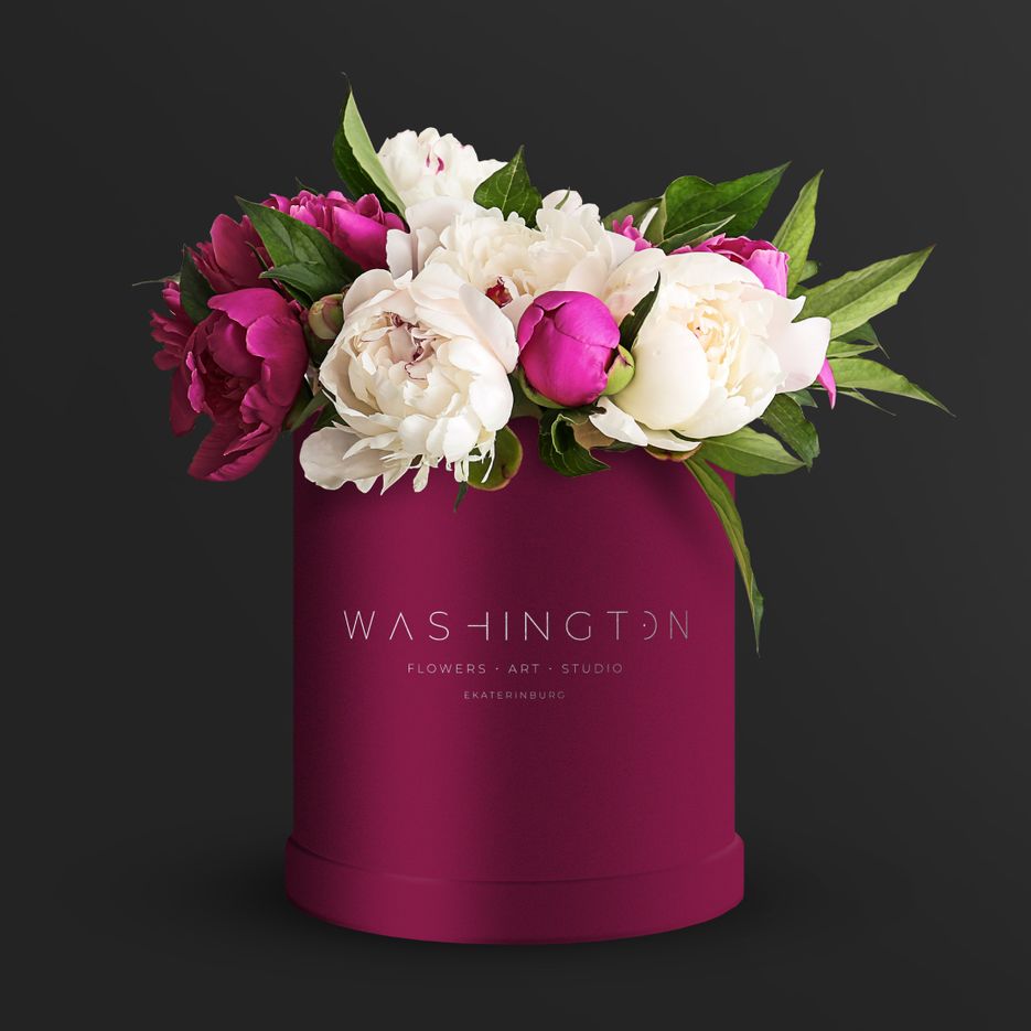 washington.png