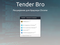Расширение TenderBro для Chrome