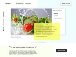 Сайт магазина здорового питания