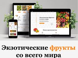Дизайн интернет-магазина ""Экзотические фрукты"