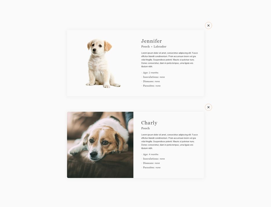 maket-sajta-priyuta-dlya-zhivotnyh-modal-window.psd.png