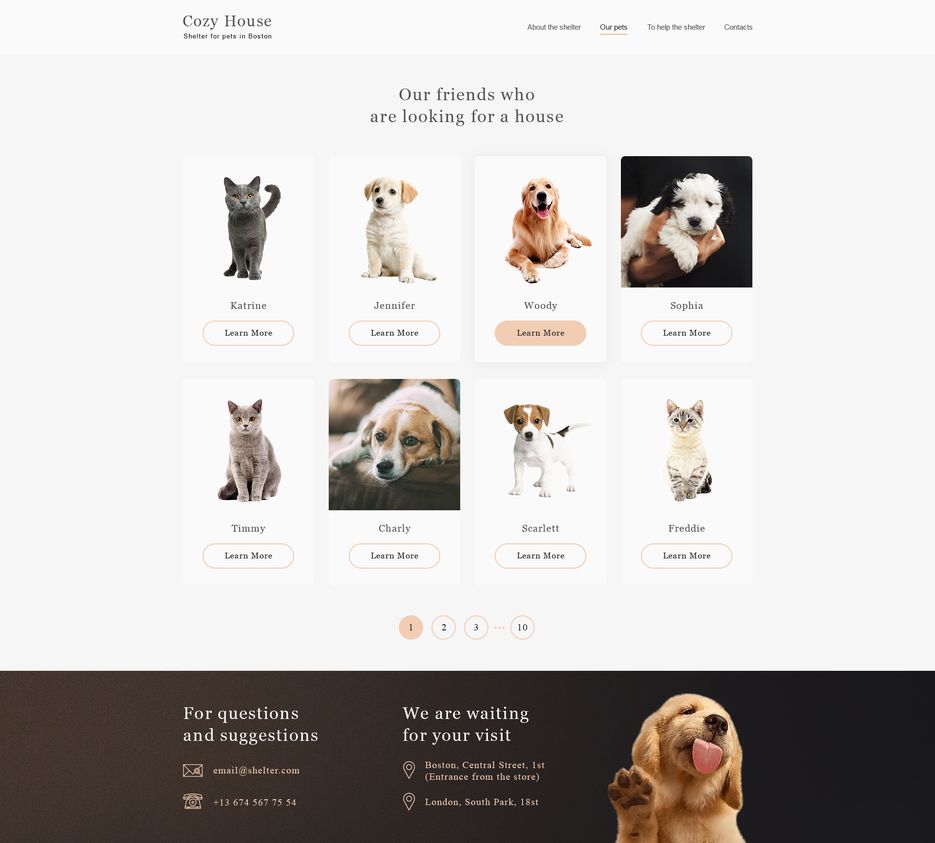 maket-sajta-priyuta-dlya-zhivotnyh-pets.psd.png