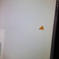 emptyVONline