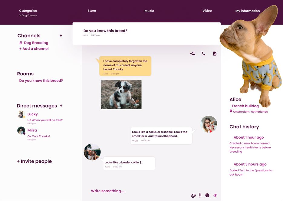 Insta Daily UI 013.png