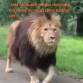 KazakovEA