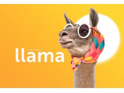 Llama agency Concept